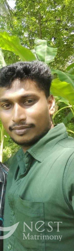 Rajeesh P